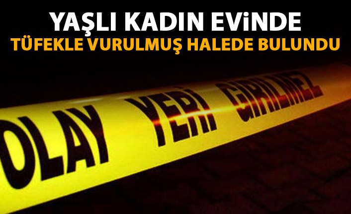 Yaşlı kadın evinde ölü bulundu