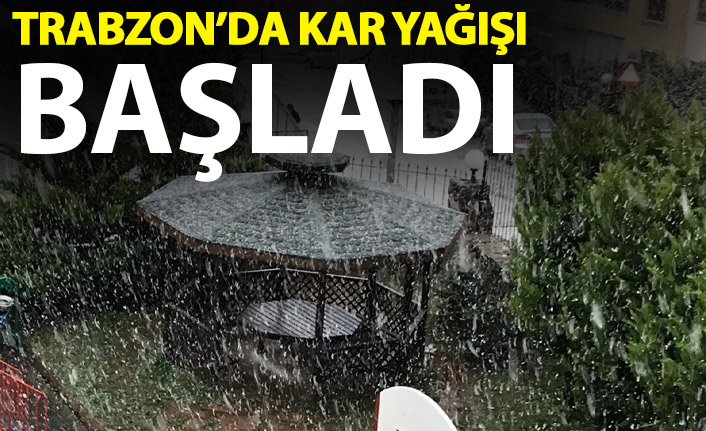 Trabzon'da kar yağışı başladı