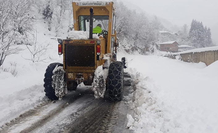 Giresun'da kar esareti