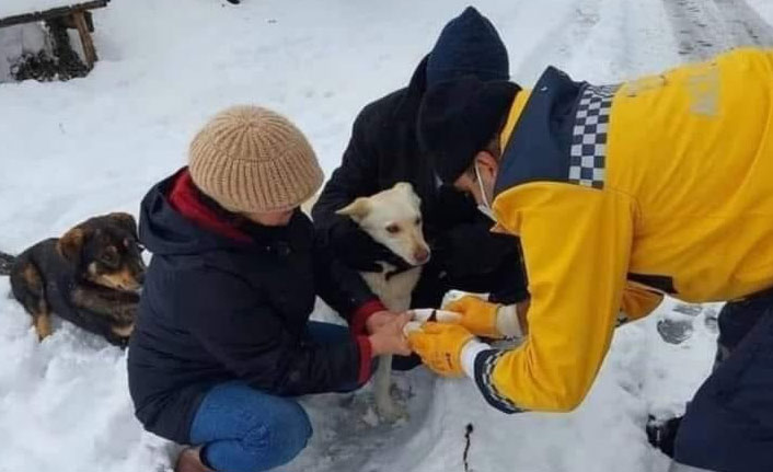 112 ekiplerinden köpeğe müdahale