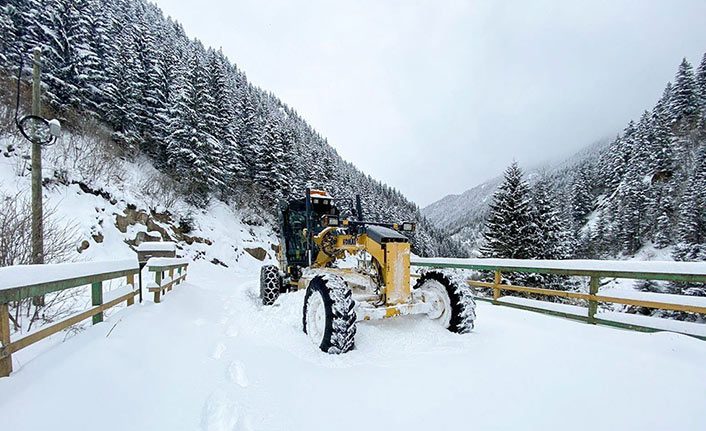 Doğu Karadeniz'de kar esareti