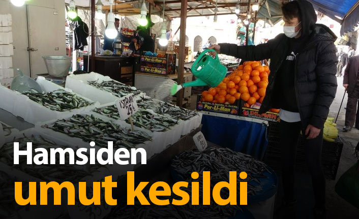 Hamside umut kesildi