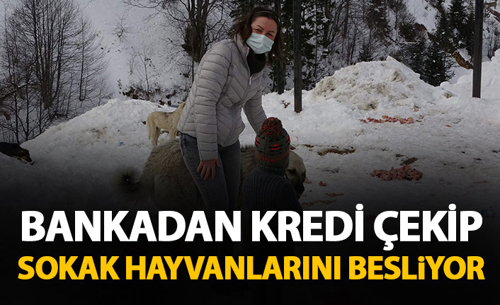 Kredi çekip sokak hayvanlarını besliyor