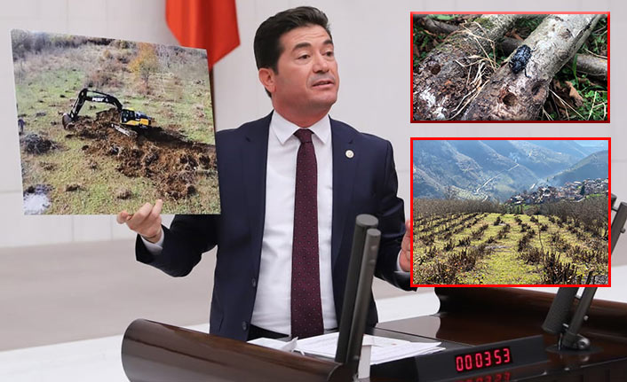 Ahmet Kaya TBMM kürsüsünden seslendi! “Fındık üreticilerimizin ekmeğiyle oynayanlar sorunu çözmek zorundalar"