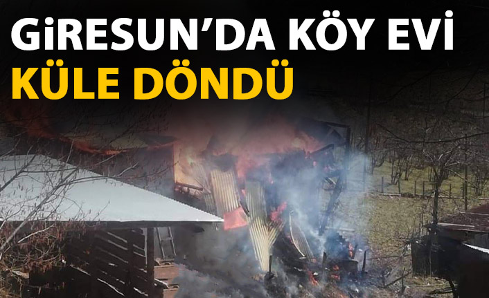 Yangında köy evi küle döndü