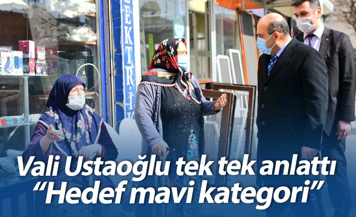 Vali Ustaoğlu: Hedef mavi kategori