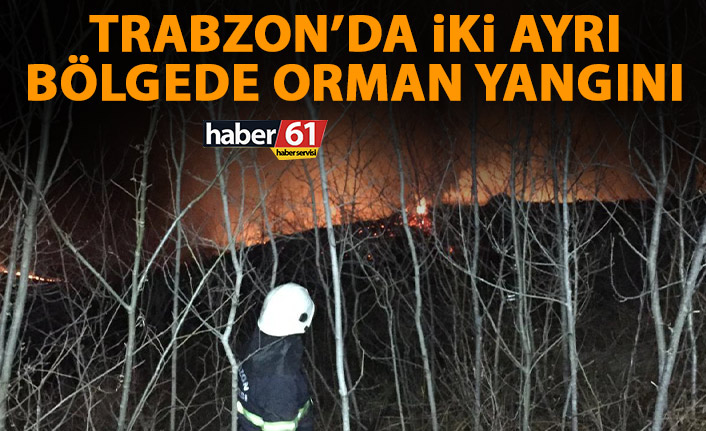 Trabzon'da örtü yangını! Ekipler seferber oldu