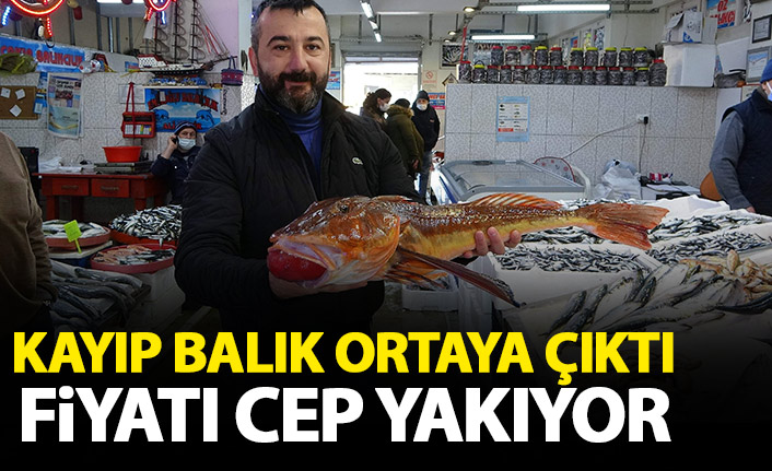 Kayıp balık Trabzon'da ortaya çıktı! Fiyatı cep yakıyor