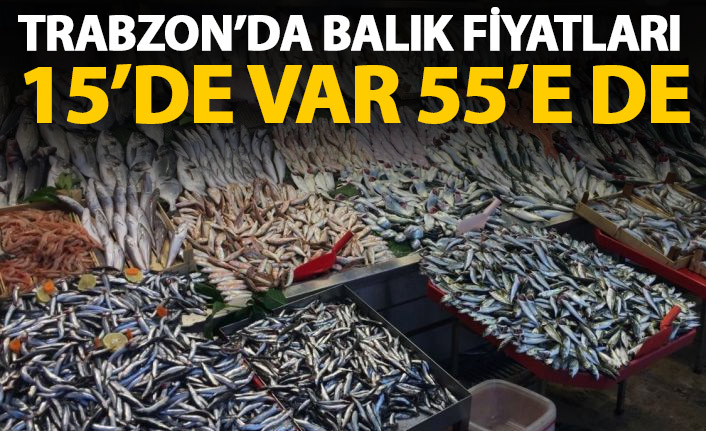 Trabzon'da balık fiyatları