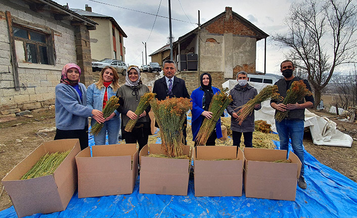 Kadınlar üretti, kadınlar ihraç etti