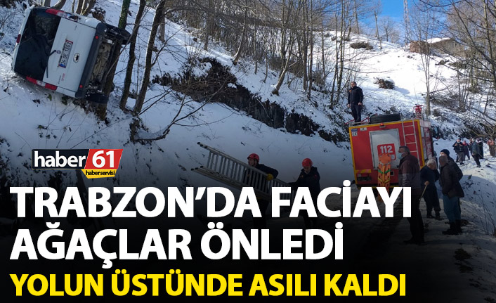 Faciayı ağaçlar önledi! Yolun üzerinde takılı kaldı