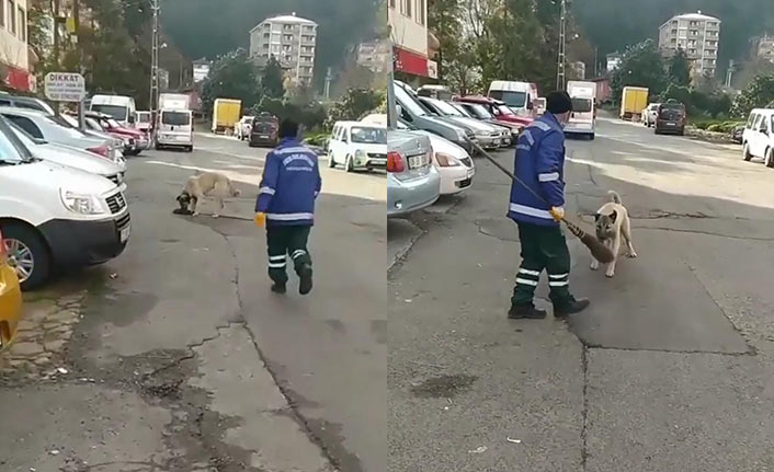 Rize'de eğlenceli anlar! Köpek aldı temizlik görevlisi kovaladı