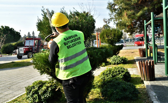 Samsun'da bahar temizliği