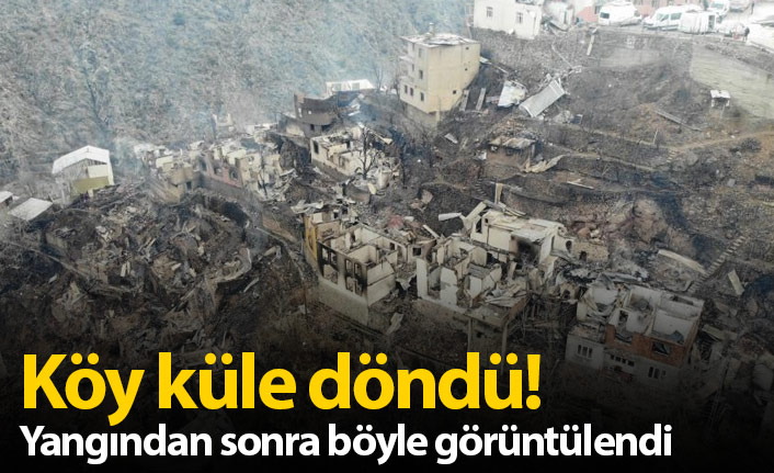 Artvin'de yanan köy böyle görüntülendi