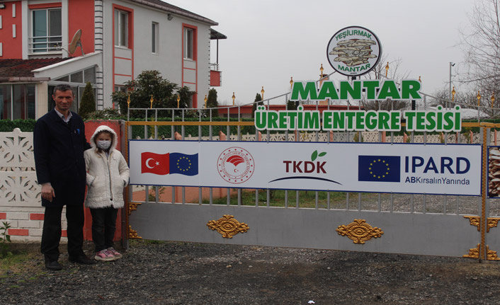 Samsun'da istiridye mantarı üreticiliğine ilgi arttı