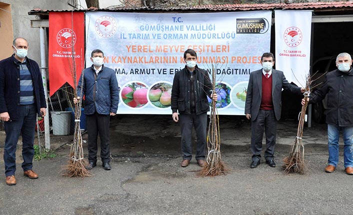 Gümüşhane'de üreticilere meyve fidanı