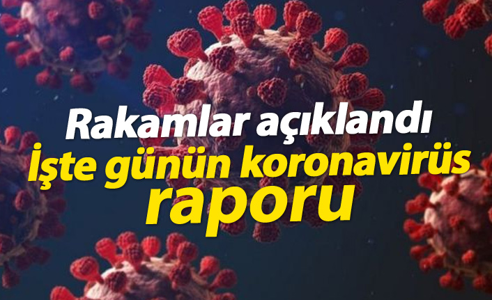 Türkiye'de günün koronavirüs raporu 25.03.2021