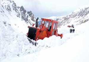 Rize'yi ayaklandıran yalana bak