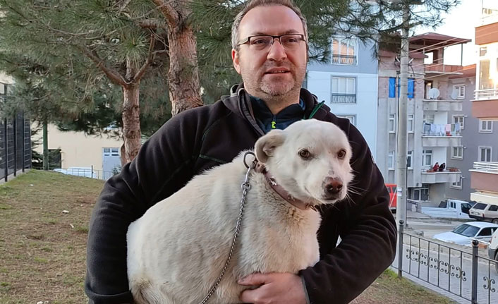 Vefanın adı 'Pamuk' oldu. Sahibini günlerce hastane önünde bekledi