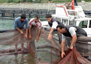 Samsun'da balık çiftliğine onay