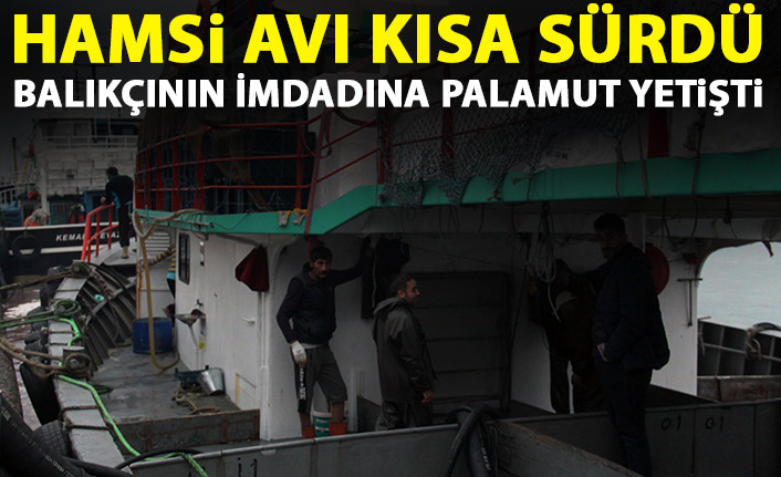 Hamsi avı kısa sürdü balıkçının imdadına palamut yetişti