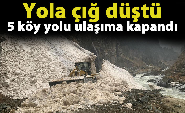 Rize'de yola çığ düştü