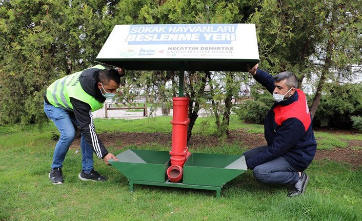 Samsun'da sokak hayvanları unutulmadı