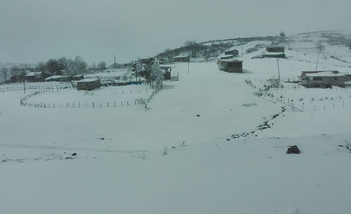 Ordu yaylaları beyaza boyandı