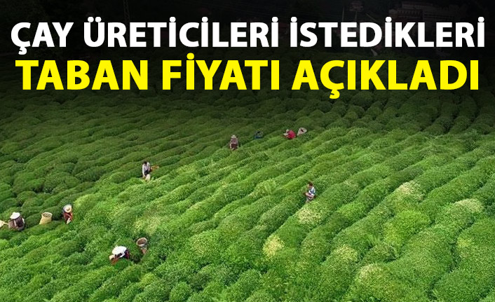 İşte üreticinin istediği çay taban fiyatı