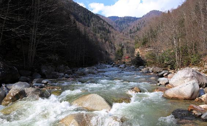 Evde kalan doğa tatiline yöneliyor