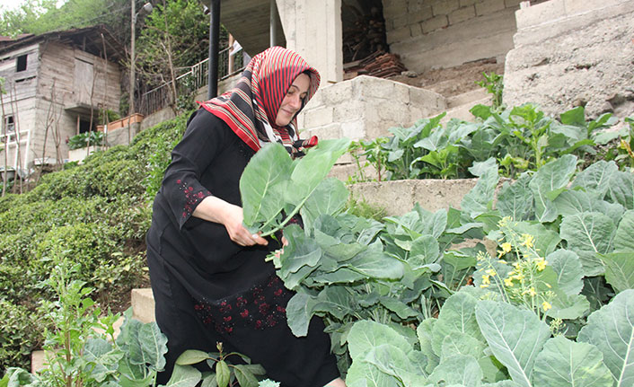 Karadeniz'de iftar sofralarının vazgeçilmezi: Lahana ve Pepeçura