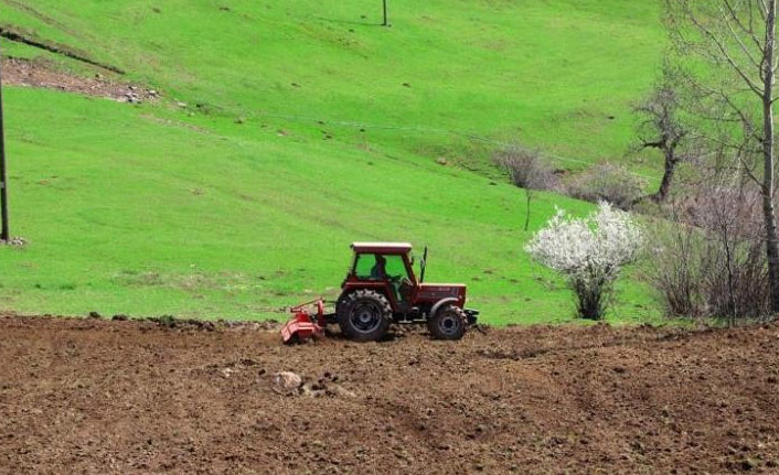 Ordu’da atıl araziler tarımla buluşuyor