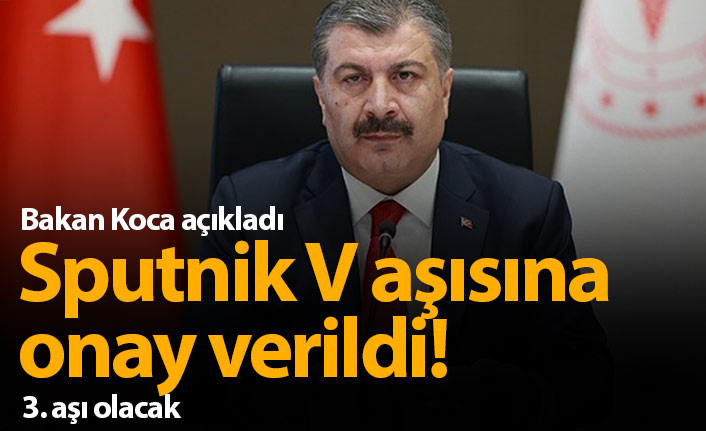 Sputnik V aşısına onay verildi!