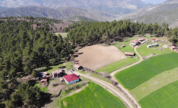 Karadeniz'de fıkra gibi olay! 3 komşu, 3 ayrı mahalleye bağlı