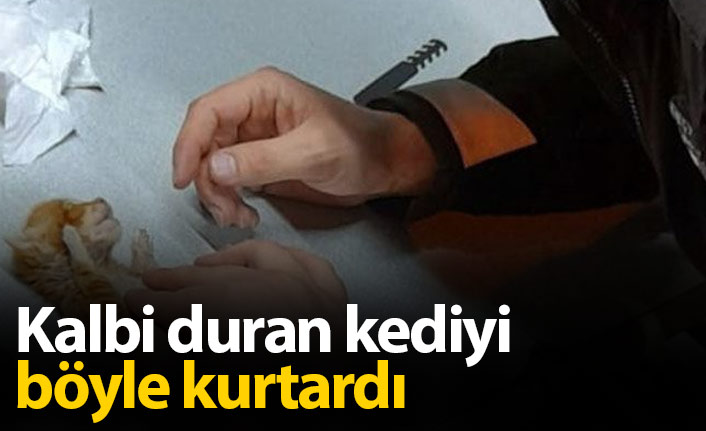 Kalbi duran kediyi bekçi kurtardı