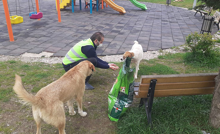 Tam kapanmada sokak hayvanları unutulmadı