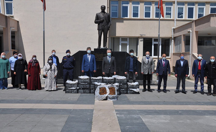 60 bin çilek fidesi çiftçilere hibe edildi