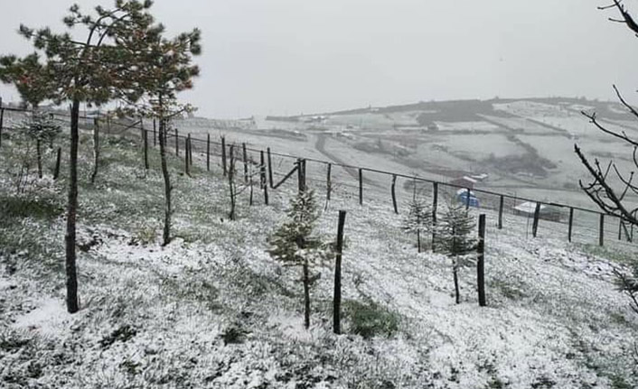 Ordu'da kar sürprizi