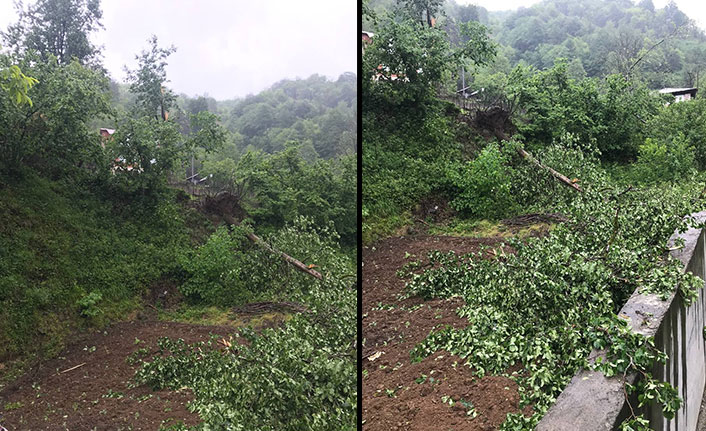 Artvin’de ağaçlar şiddetli rüzgara direnemedi