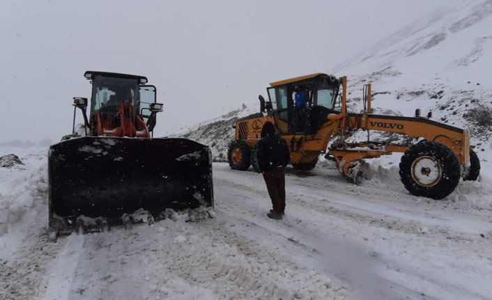 Doğu Karadeniz'de karla kaplanan yollar temizleniyor