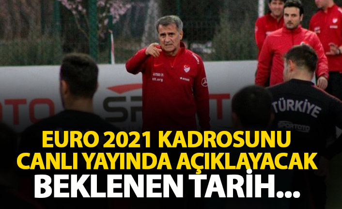 EURO 2021 kadrosunun açıklanacağı tarih belli oldu? Büyük gün...