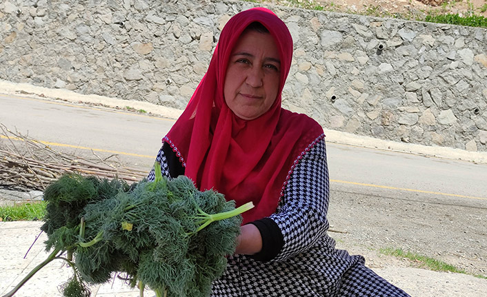 Şifalı olduğuna inanıyorlar dağ bayır topluyorlar