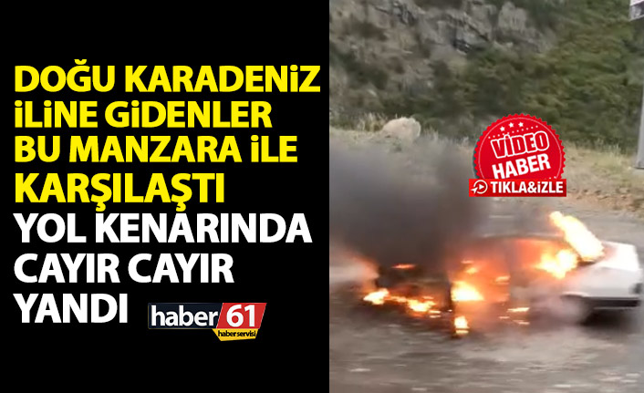 Doğu Karadeniz iline gidenler bu manzarayla karşılaştı! Yol kenarında cayır cayır yandı