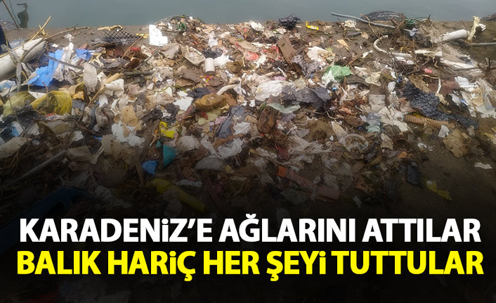 Karadenize ağlarını attılar balık hariç her şeyi tuttular