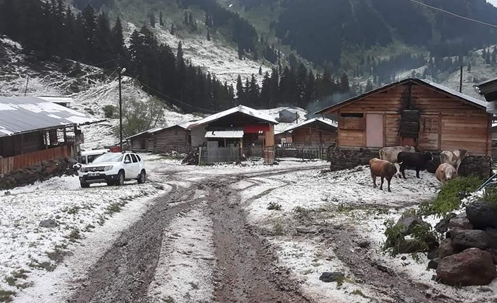 Şavşat’ın köyleri dolu yağışıyla beyaza büründü