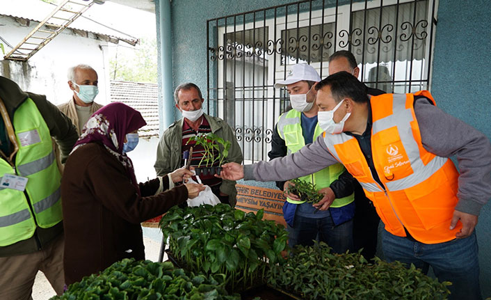 Belediyeden çiftçiye 52 bin adet fide desteği