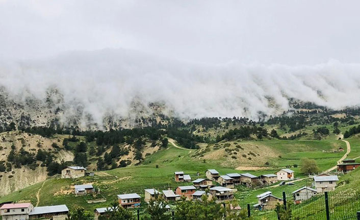 Artvin yaylaları sis altında kaldı