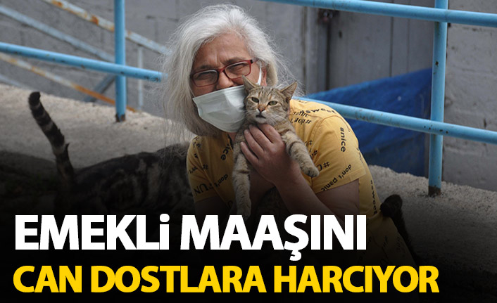 Emekli maaşı ile can dostlarını besliyor