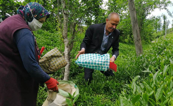 Azmi Kuvvetli: “Çay üreticisi mağdur, çay sezonu sancılı başladı”