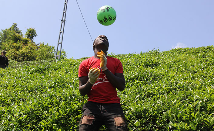 Afrikalı çay işçilerinden futbol molası